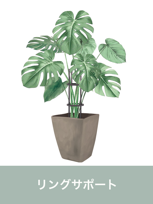 リングサポート