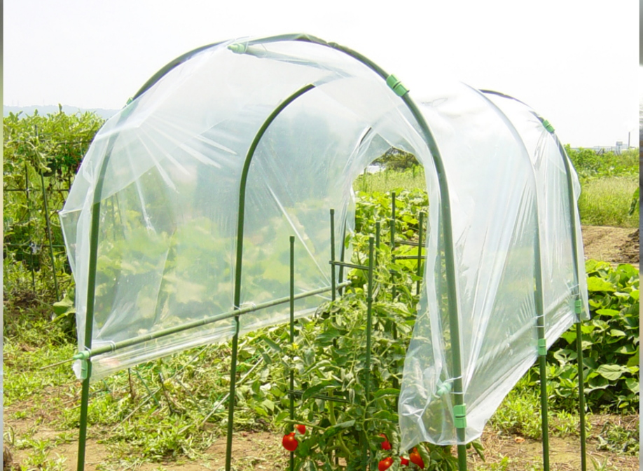 daim 雨よけ 虫よけ ミニ 菜園 ハウス トマト 支柱 屋根 虫よけ トマト栽培 防虫ネット 園芸用品 園芸 ガーデニング トマトの雨よ - 5