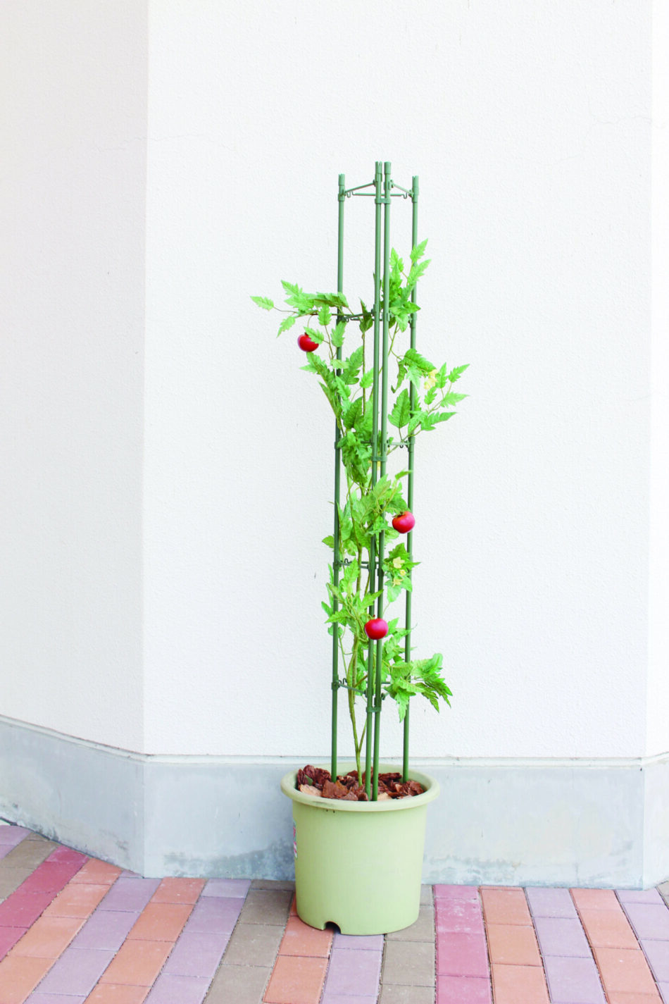 タワー型でトマト栽培に